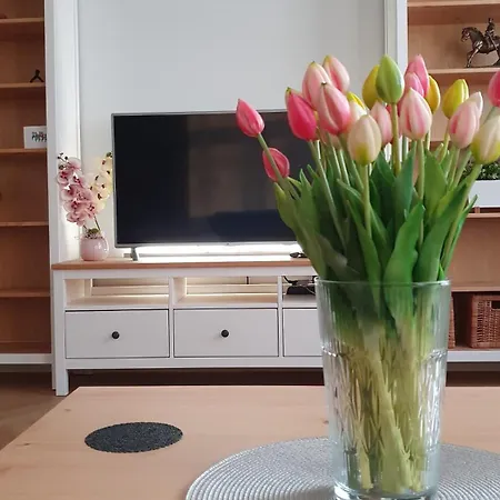 New Market Апартаменты *