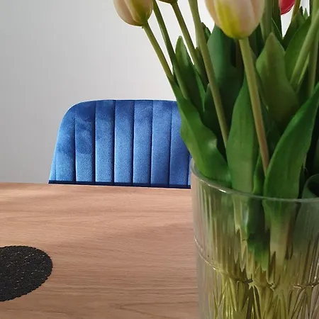 Апартаменти New Market *