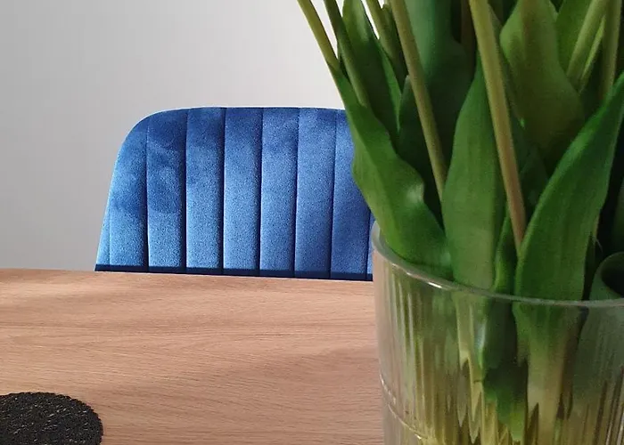 Апартаменты New Market *